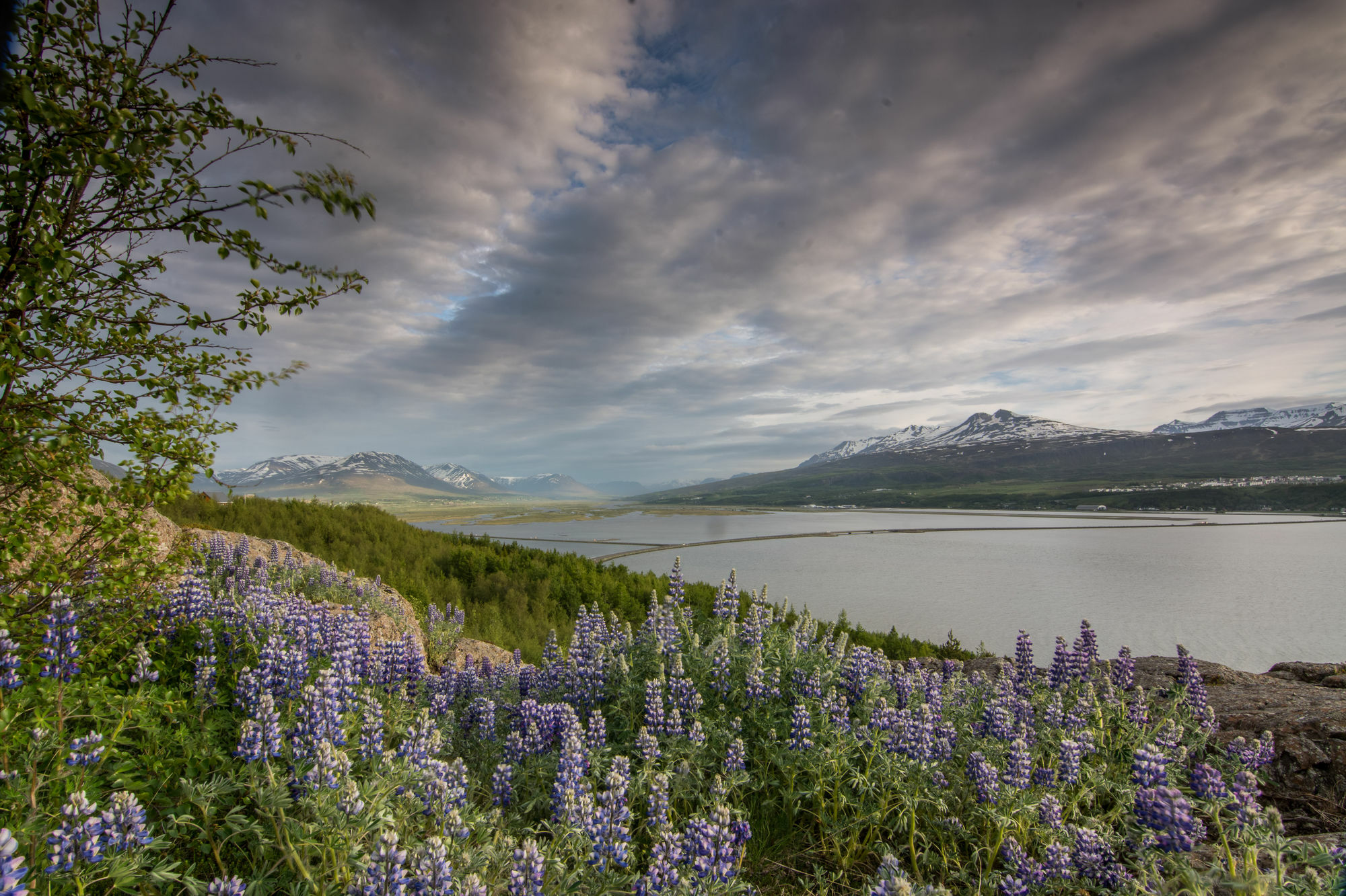Viking Cottages & Apartments Akureyri Kültér fotó